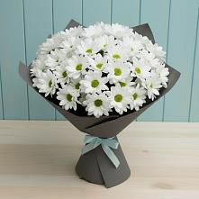 Букет цветов из:  Хризантемы #REPLACE_PRED# Большая Соснова