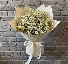 Букет цветов из:  Ромашки #REPLACE_PRED# Большая Соснова
