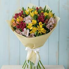 Букет цветов из:  Альстромерии #REPLACE_PRED# Большая Соснова