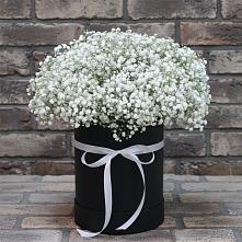 Цветочная композиция из Гипсофила в шляпной коробке в Большая Соснова