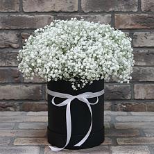 Цветочная композиция из Гипсофила в шляпной коробке в Большая Соснова