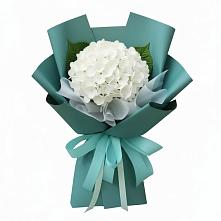 Букет цветов из:  Гортензия #REPLACE_PRED# Большая Соснова